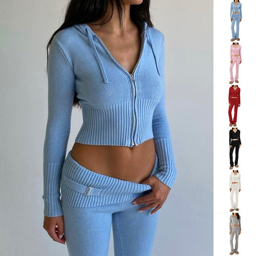 Hoodie Suit Women Leisure Sexy Zip Long Sleeve Sweater And High Waist Long Pants Set – travel - inspired 0 by Aroundtheworldinarush